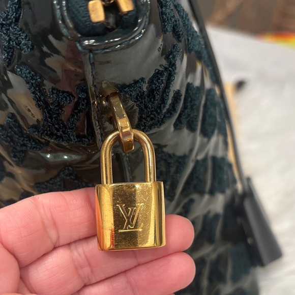 Louis Vuitton Mono Fascination Patent/Lambskin Bag - Picture 4 of 16